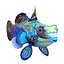 Mandarinfish