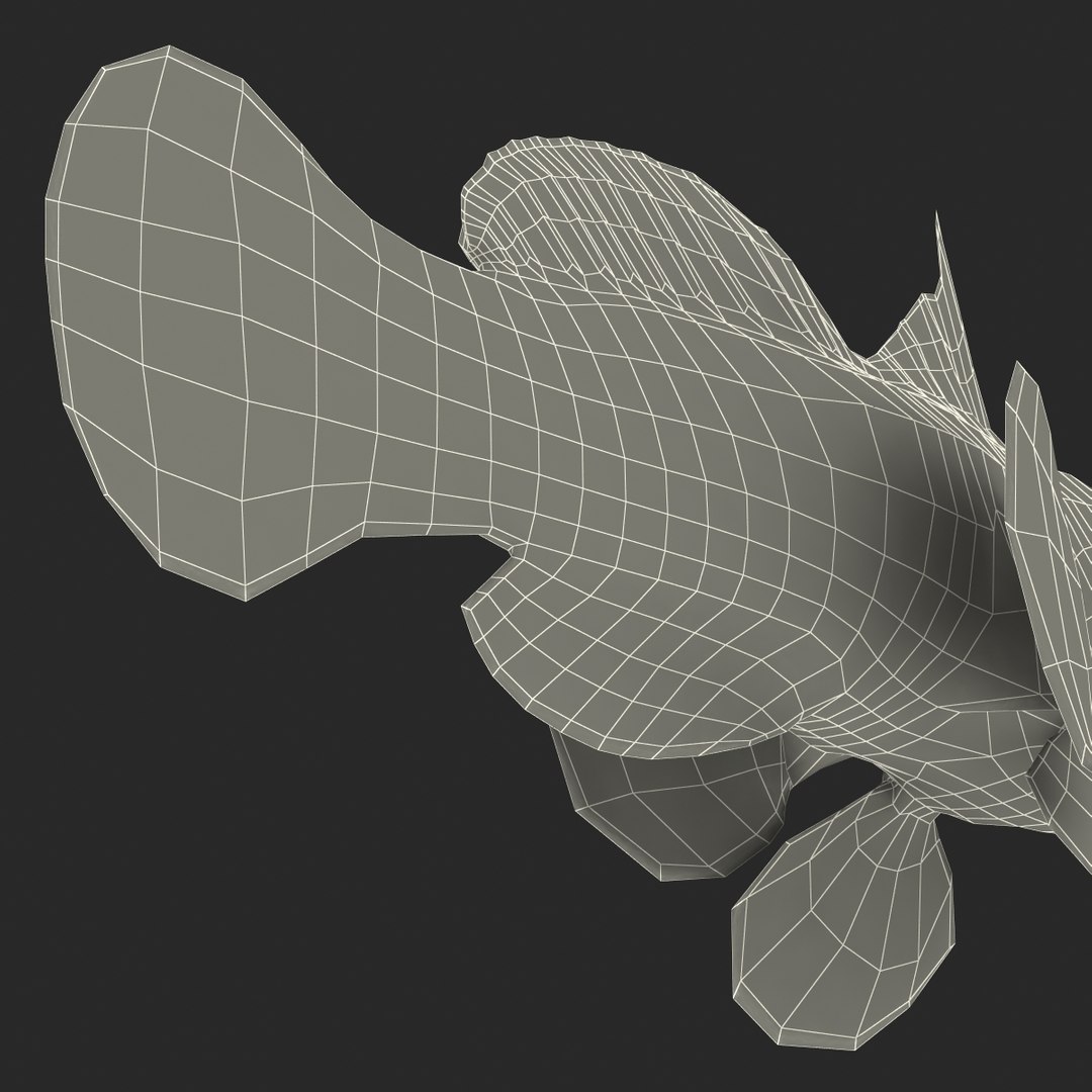 mandarinfish colors 3d max https://p.turbosquid.com/ts-thumb/W5/4IJOCF/snPFsGyZ/mandarinfish3dmodel53/jpg/1470055450/1920x1080/fit_q87/c21907c90aed98ed37a7ccf579522547c4e722cf/mandarinfish3dmodel53.jpg