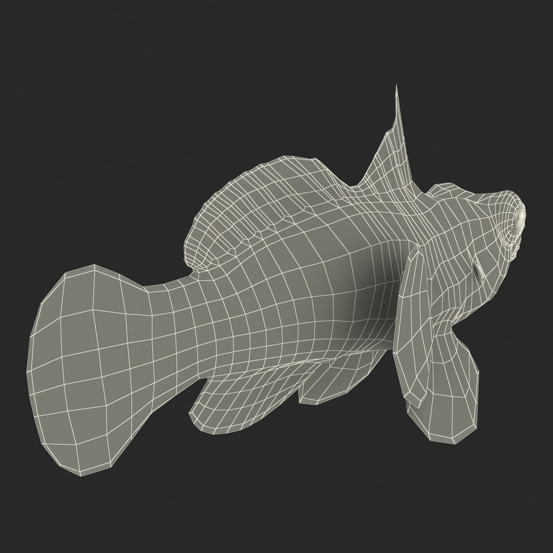 mandarinfish colors 3d max https://p.turbosquid.com/ts-thumb/W5/4IJOCF/tUKmDtCB/mandarinfish3dmodel43/jpg/1470055449/1920x1080/fit_q87/8da197ae605dc5f49f83d3a79b0b87bf176fd76b/mandarinfish3dmodel43.jpg