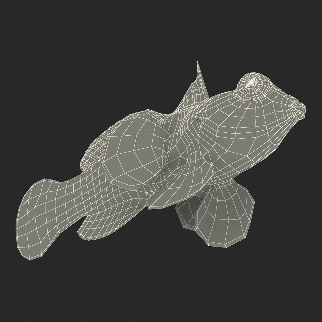 mandarinfish colors 3d max https://p.turbosquid.com/ts-thumb/W5/4IJOCF/whBCYx6p/mandarinfish3dmodel46/jpg/1470055450/1920x1080/fit_q87/99cea660685f57bba7beeee25b885d369be0b897/mandarinfish3dmodel46.jpg
