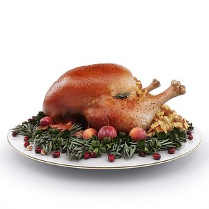 Thanksgiving Turkey HQ