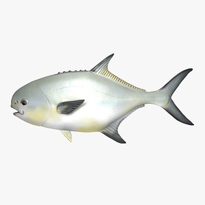 permit fish 3d model