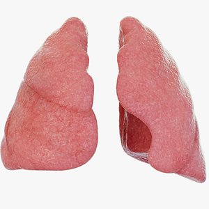 3D Healthy Lungs