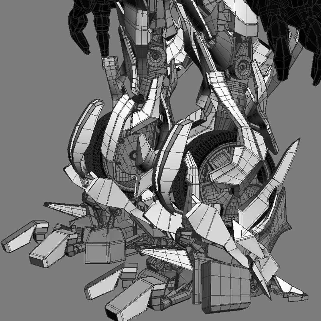 3d - Rigged Model