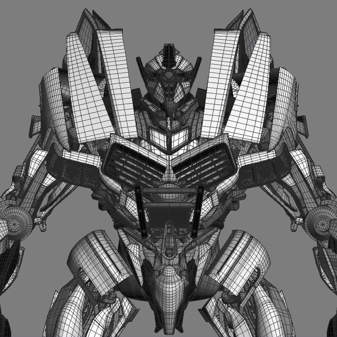3d - Rigged Model
