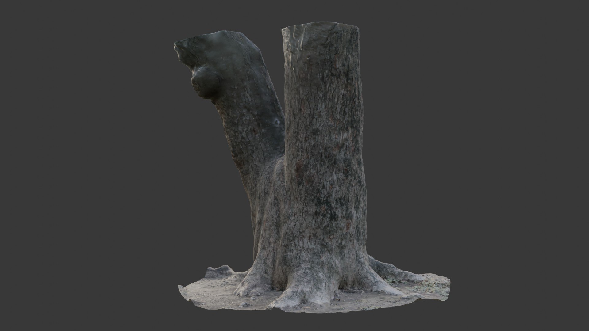 3D Model Realistic Forked Tree Trun Scan - TurboSquid 2395278