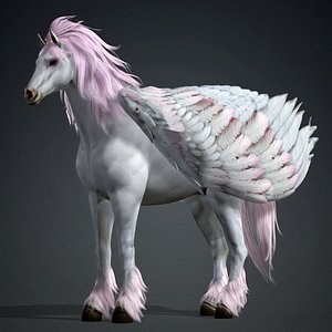 3D model Pegasus-A2