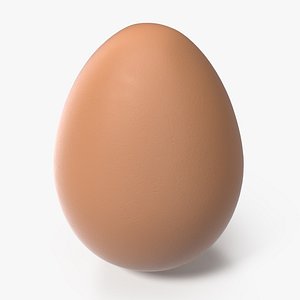 3D brown chicken egg model