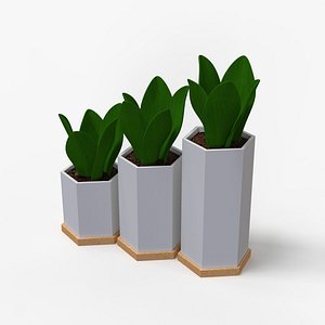 3D Hexagon Succulent Pot model