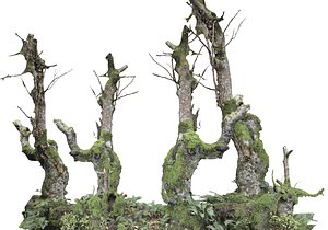 forest asset hd 3D model