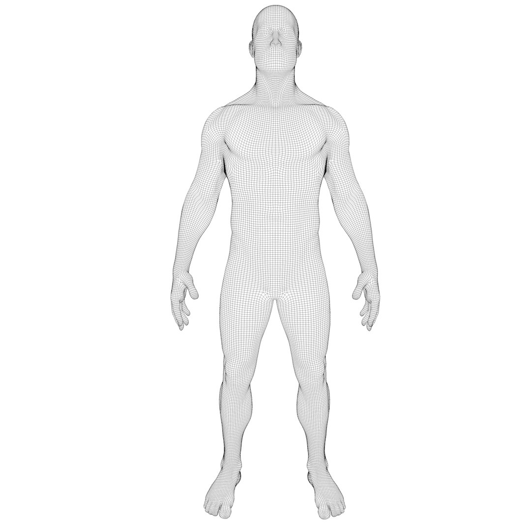 3D model anatomy human man https://p.turbosquid.com/ts-thumb/W6/LhLWnC/CqaYSBth/w1/png/1581516883/1920x1080/fit_q87/c7a77b8574f5755ad6edc416712befc324a18553/w1.jpg