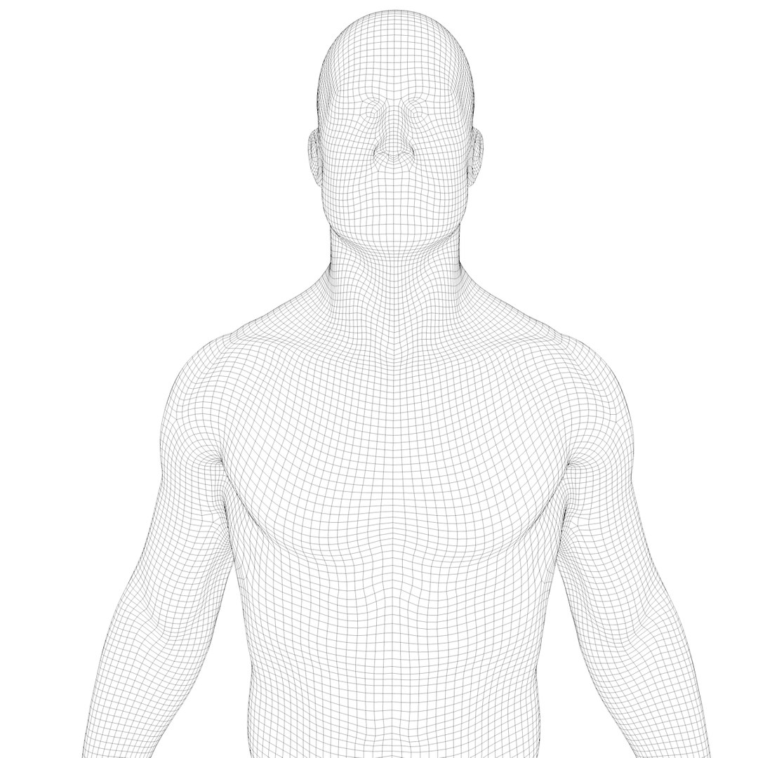 3D model anatomy human man https://p.turbosquid.com/ts-thumb/W6/LhLWnC/t87byR4d/w2/png/1581516883/1920x1080/fit_q87/4ab5d67ad7840a517e3f0e1ce9ad64d266cb574b/w2.jpg