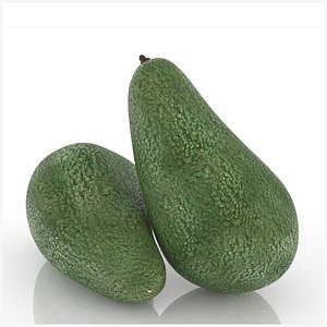 avocado fruit 3D model