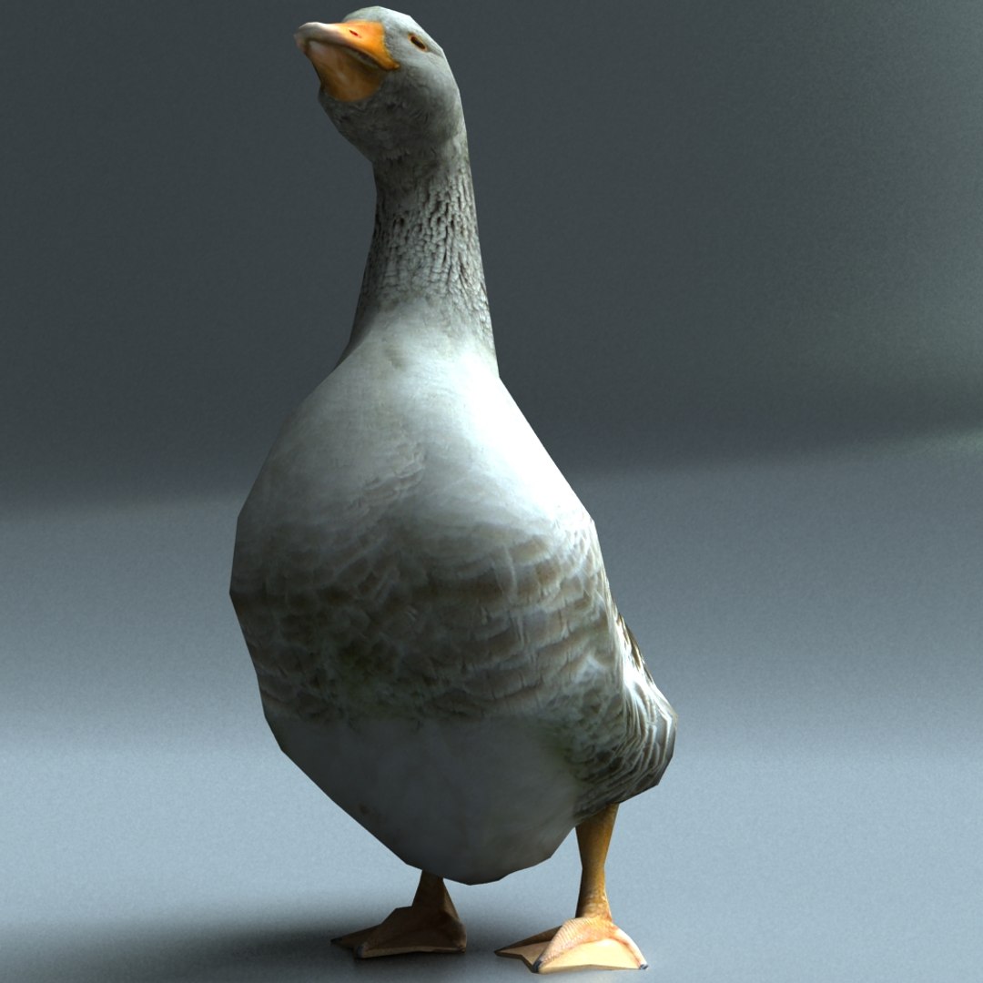 Goose 3d Model