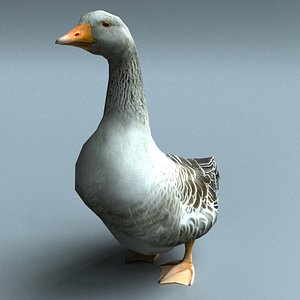 goose 3d model