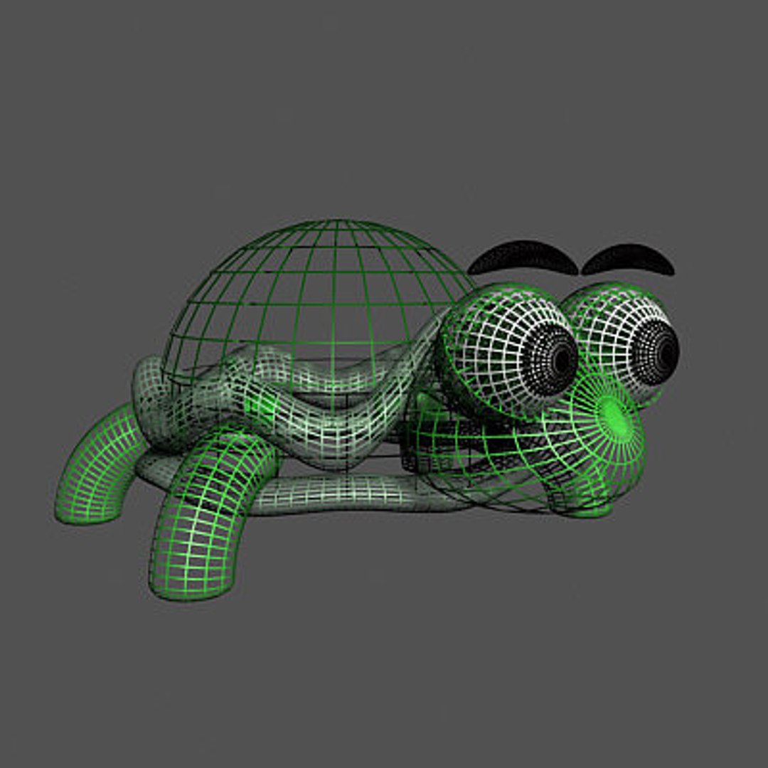 Turlte Turtleshell 3d Model