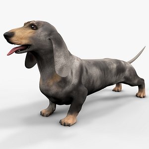 Dachshund Rigged L1858 3D model