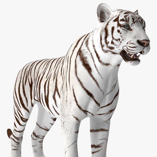 whitetigervray3dmodel000.jpg