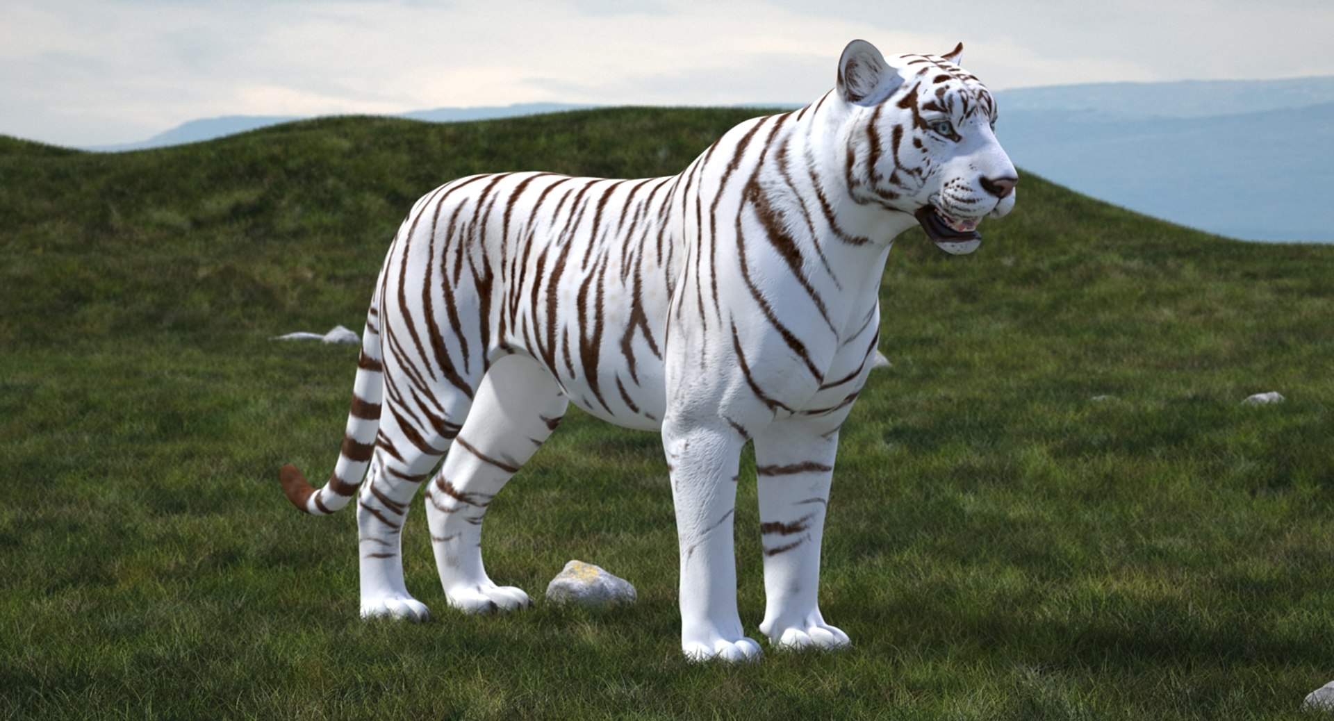 White Tiger 3D Model - TurboSquid 1271758
