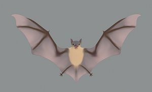 Bat Model