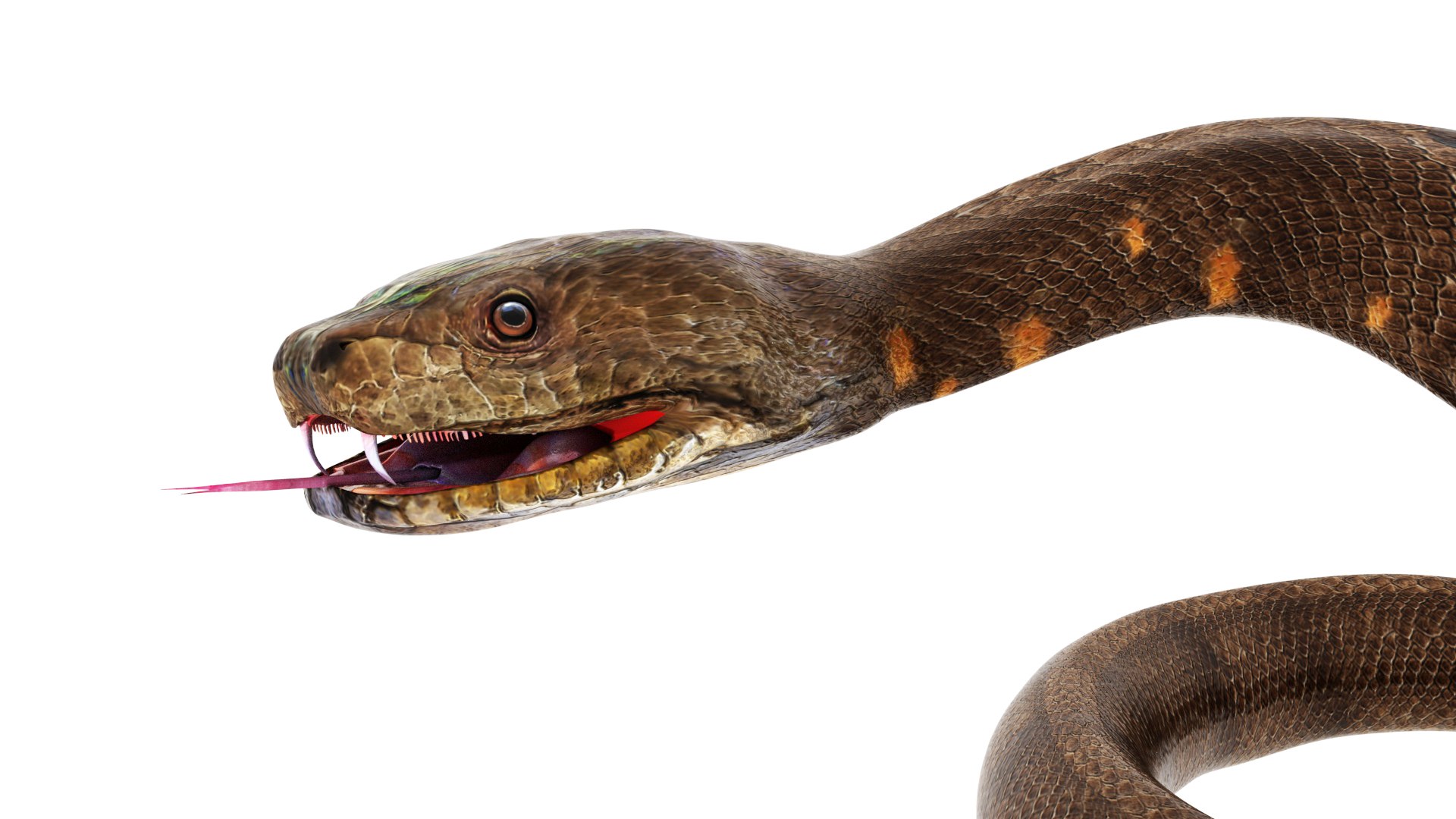 Python snake dark brown colour snake 3D model - TurboSquid 1958339