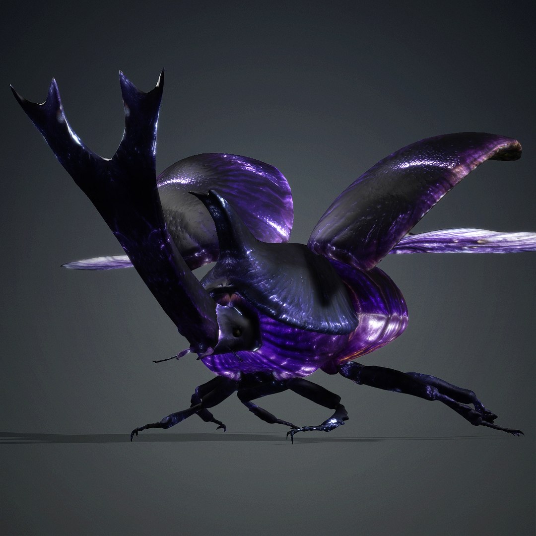 3D Stenocara-A3 https://p.turbosquid.com/ts-thumb/W7/Cpkrwa/0C/a3/jpg/1765785598/1920x1080/fit_q87/0d7f82d3ed6a192bc3219b6e7f1e5a0a4a431124/a3.jpg