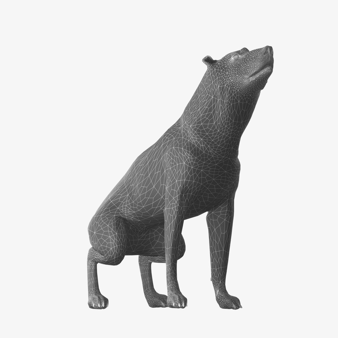 Realistic Rottweiler Rigged 3d Model