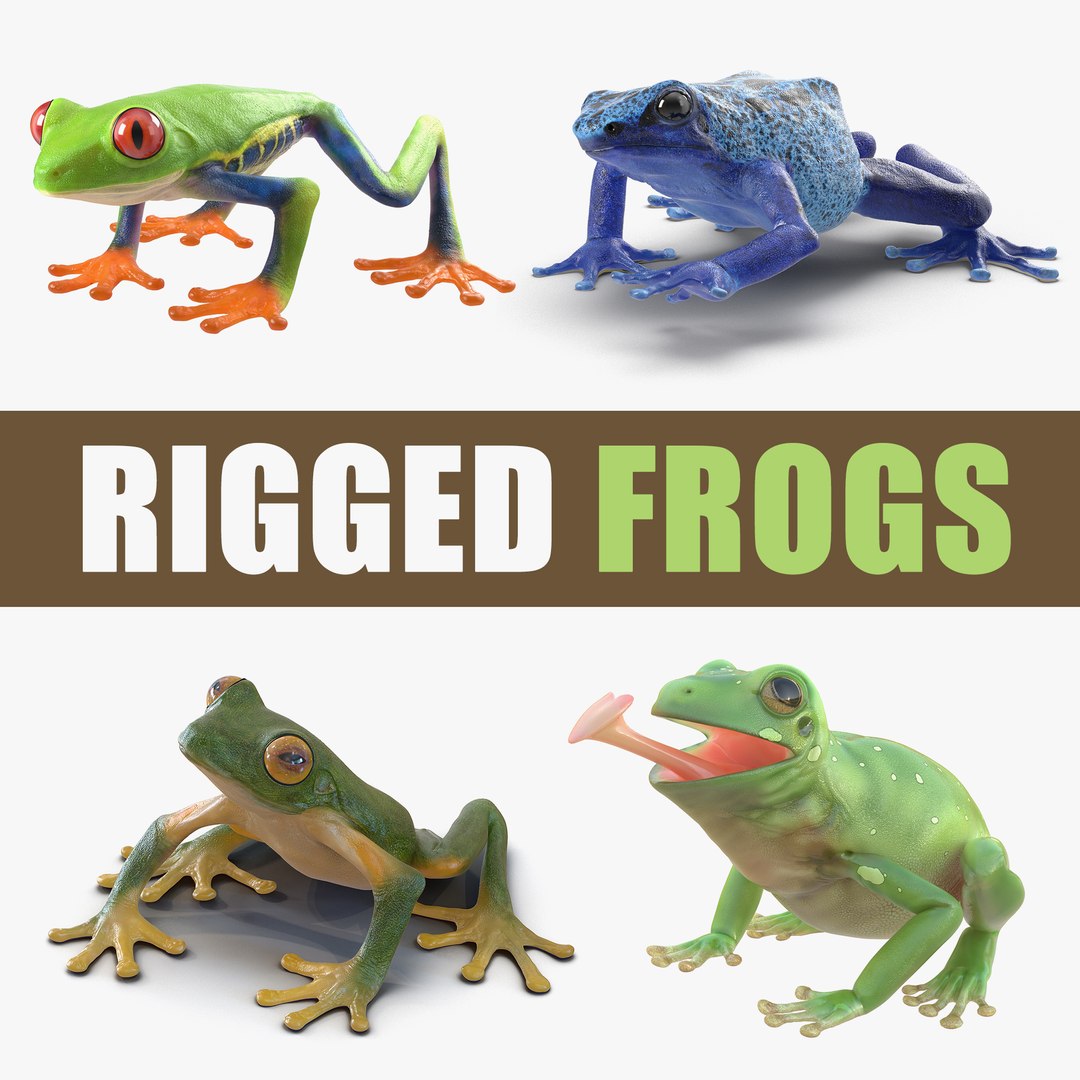 Rigged Frogs 3D Models Collection 2 3D model preview