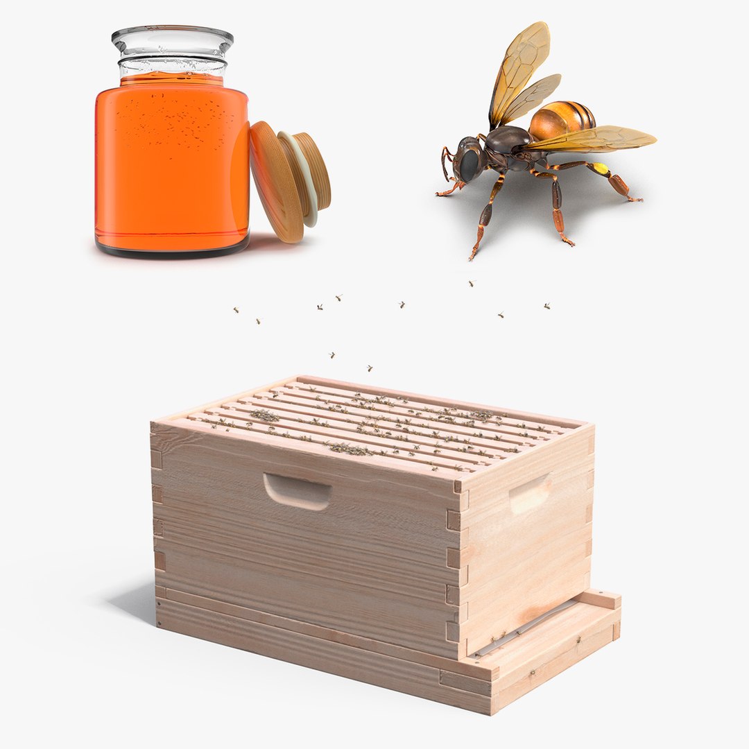 Honey Farm Collection 3D model preview