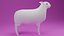 Cartoon Cute Sheep