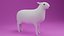 Cartoon Cute Sheep