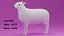 Cartoon Cute Sheep