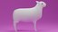 Cartoon Cute Sheep