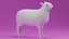 Cartoon Cute Sheep