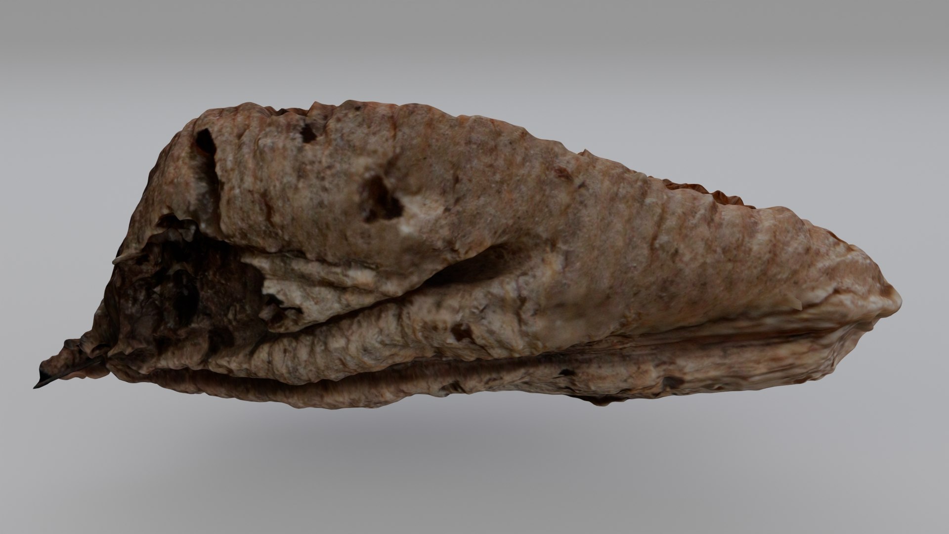 3D Entomology - Mantis sp Ootheca https://p.turbosquid.com/ts-thumb/W8/4C3PRx/Y7/mantisoothecaproductimage02/jpg/1767138101/1920x1080/fit_q87/68673d39fe06b45d865b677396d746b335a1d0fb/mantisoothecaproductimage02.jpg