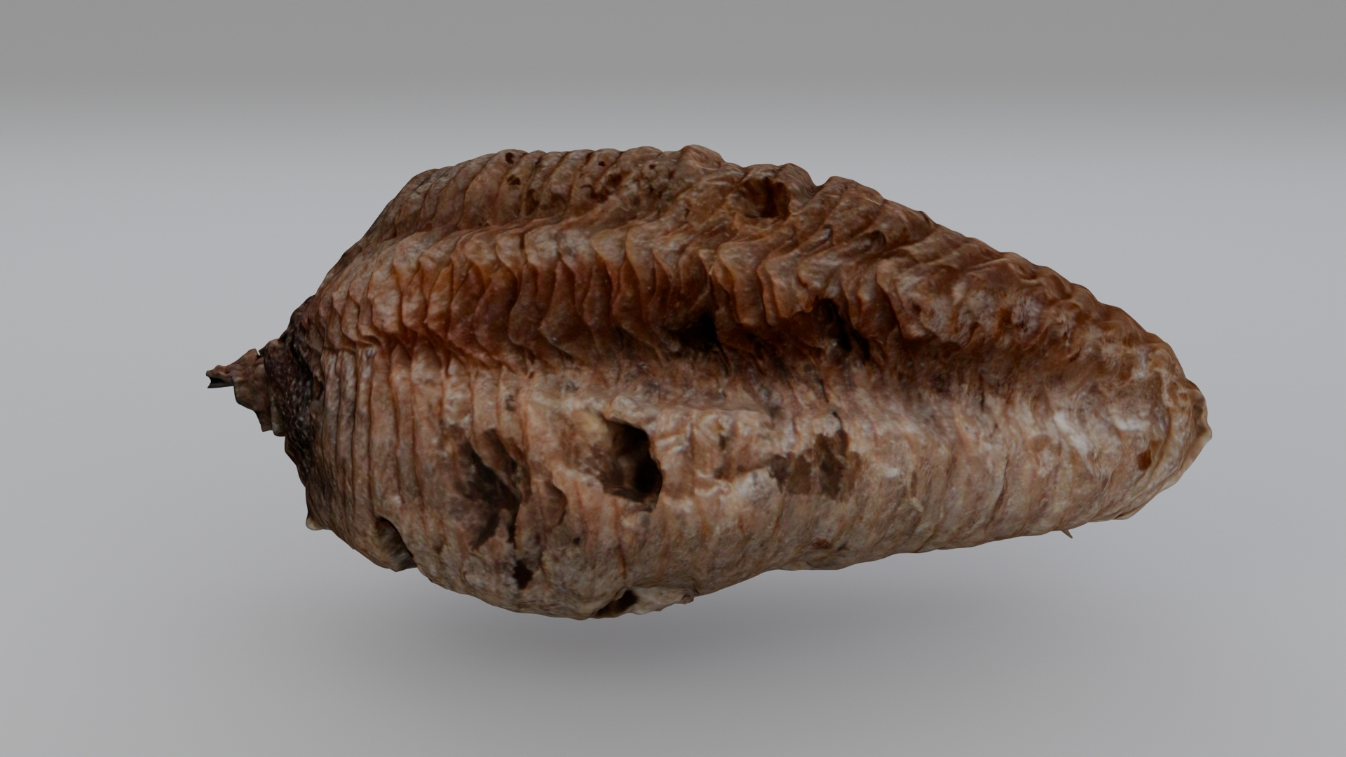 3D Entomology - Mantis sp Ootheca https://p.turbosquid.com/ts-thumb/W8/4C3PRx/ig/mantisootheca/jpg/1767139181/1920x1080/turn_fit_q99/9bf22189dd34806b1c62c5a7b075fb64913bc0b5/mantisootheca-1.jpg