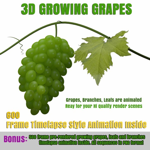 3d model growing animation grapes
