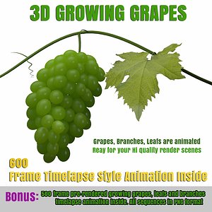 Grape Growing 3D Model Animated