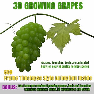 Grape Growing 3D Model Animated