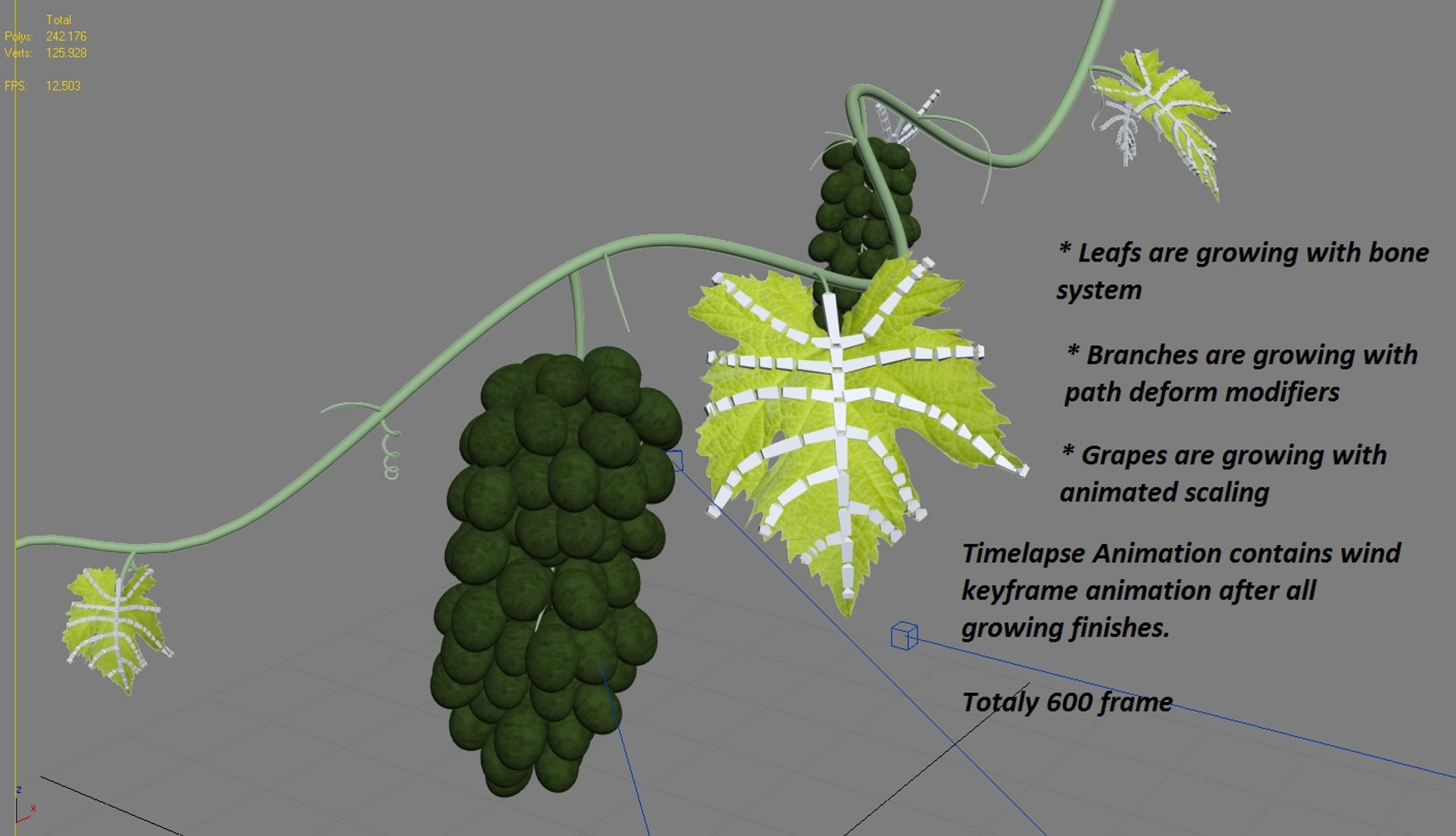 3d Model Growing Animation Grapes