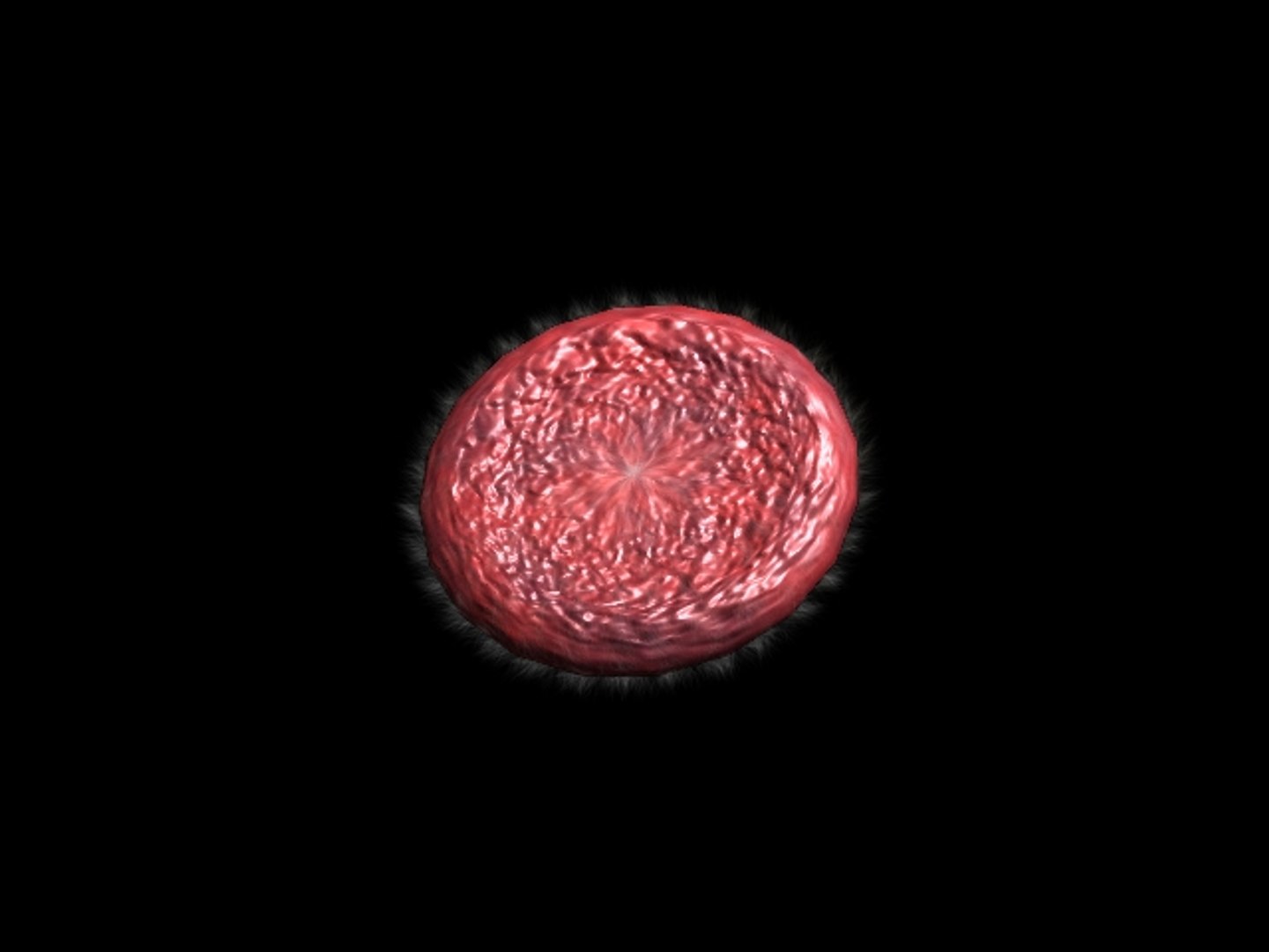 free blood cell 3d model https://p.turbosquid.com/ts-thumb/W8/ROJIIZ/0ky1i5vD/bloodcell4/jpg/1330033143/1920x1080/fit_q87/d27755581faf1255dfb72ef2cc6c272246166908/bloodcell4.jpg