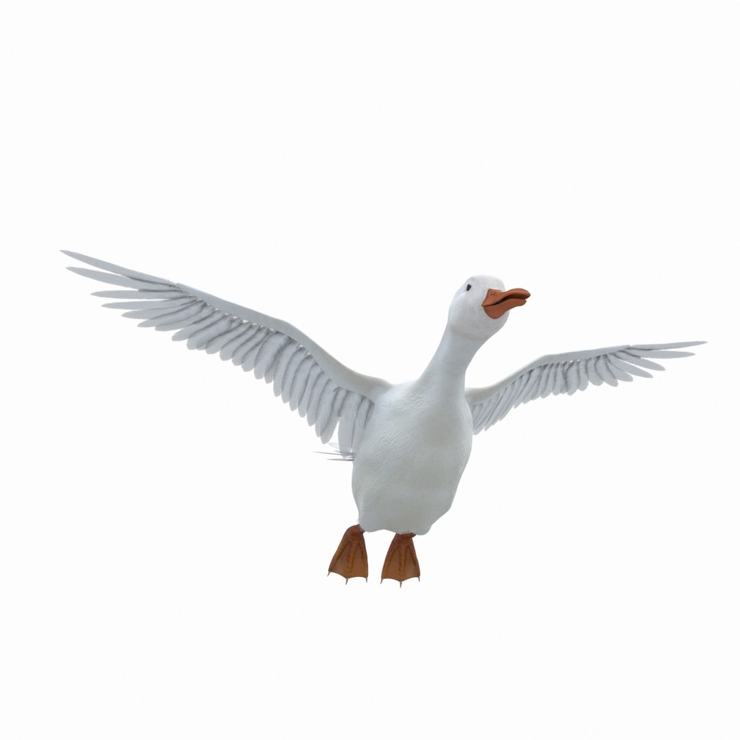 Realistic White Duck Rigging 3D Model - TurboSquid 1201727