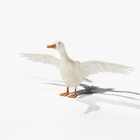 White Duck - Rigged PBR
