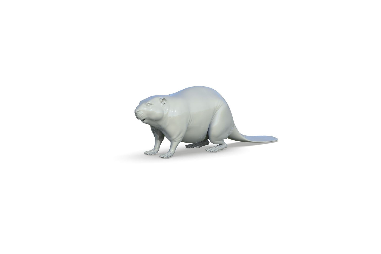 Beaver 3D Model - TurboSquid 2205846