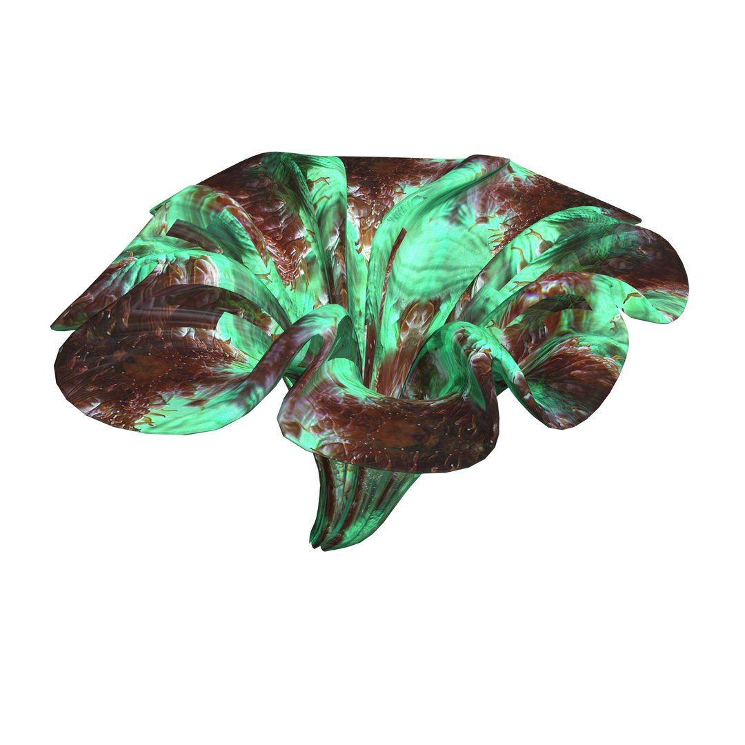 3D coral https://p.turbosquid.com/ts-thumb/W8/vBLUEJ/579b7Ck2/09/png/1508066871/1920x1080/fit_q87/b3bed6e1aac31a9b0adde5598953eb57cd266412/09.jpg