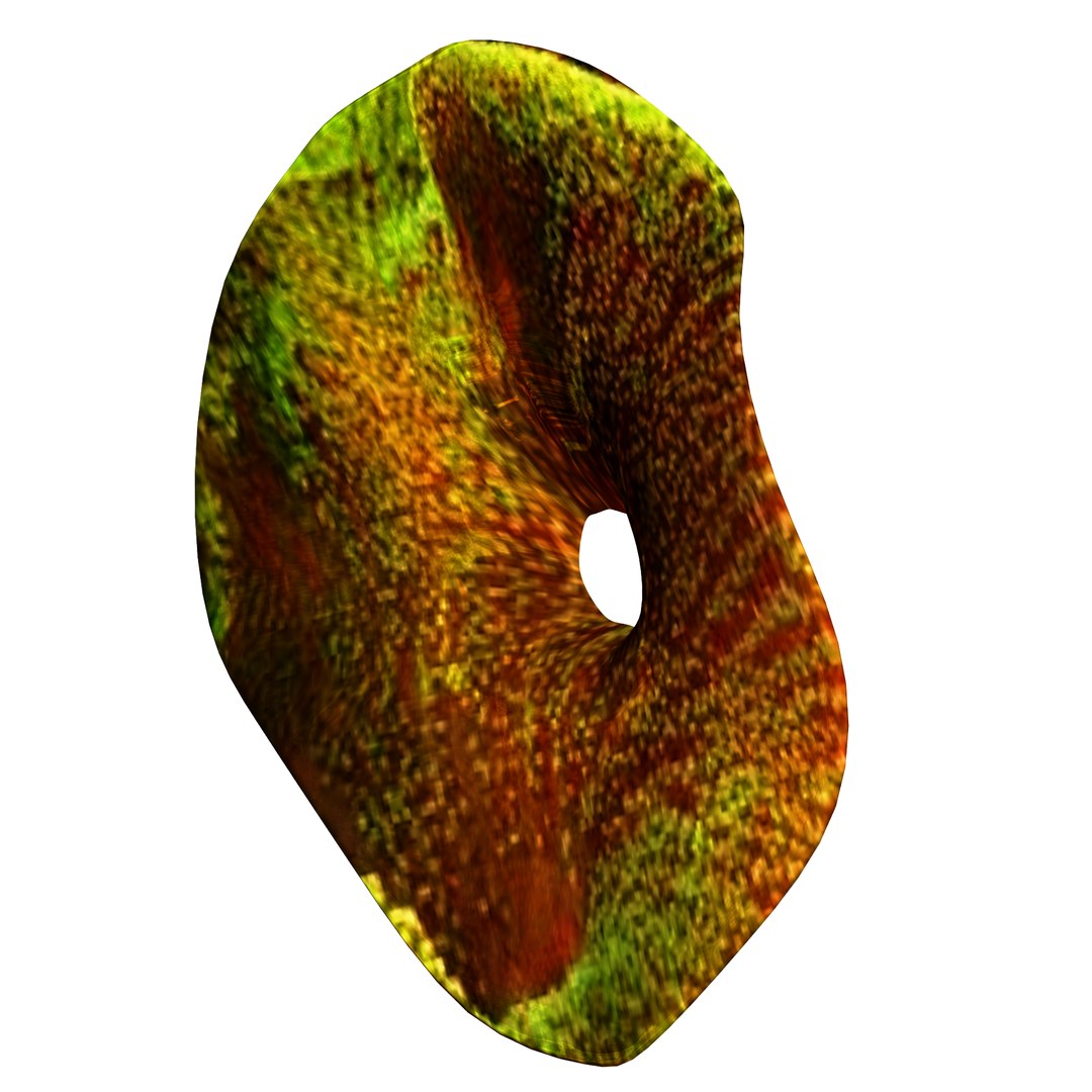 3D coral https://p.turbosquid.com/ts-thumb/W8/vBLUEJ/Cnz79MqB/18/png/1508066871/1920x1080/fit_q87/3243f1d6581fc2c9fb17764298a058c6ee2a840f/18.jpg