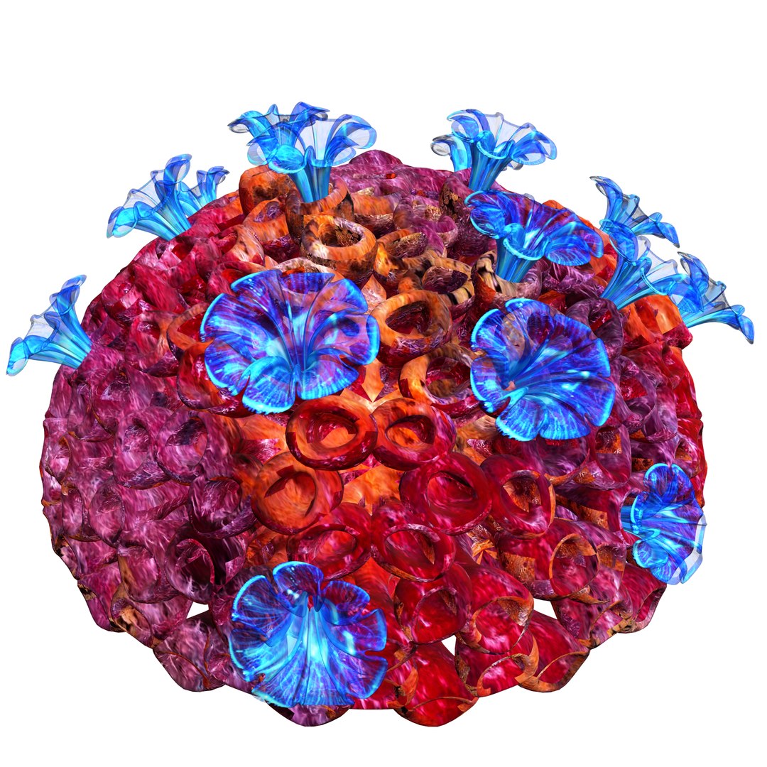 3D coral https://p.turbosquid.com/ts-thumb/W8/vBLUEJ/FkfayDGt/08/png/1508066871/1920x1080/fit_q87/af44251d7a52281de6c9d7c332565ce01eac9d99/08.jpg