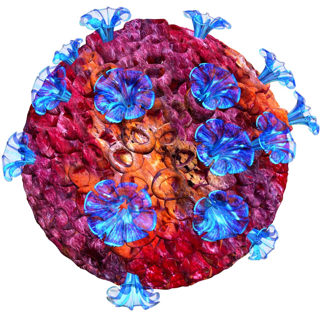 3D coral https://p.turbosquid.com/ts-thumb/W8/vBLUEJ/G2jUHhIv/16/png/1508066871/1920x1080/fit_q87/fa1c4340dc21b0675ff2b133e5d3ca7b113e7d86/16.jpg