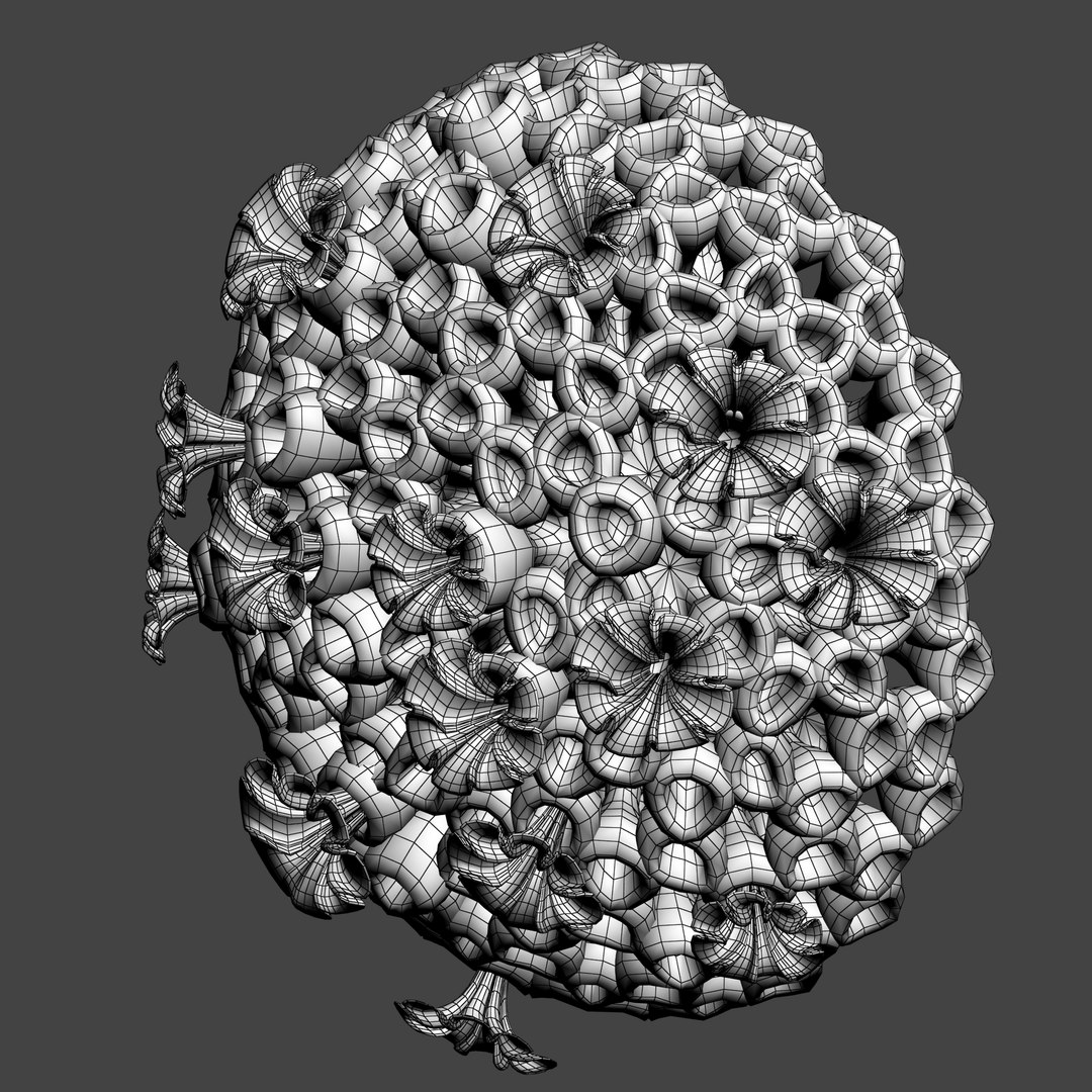 3D coral https://p.turbosquid.com/ts-thumb/W8/vBLUEJ/GUmHnnEu/wire_05/png/1508066872/1920x1080/fit_q87/a3abe4d0c42456ecb2b2a2e5b12f207e0b6360fd/wire_05.jpg