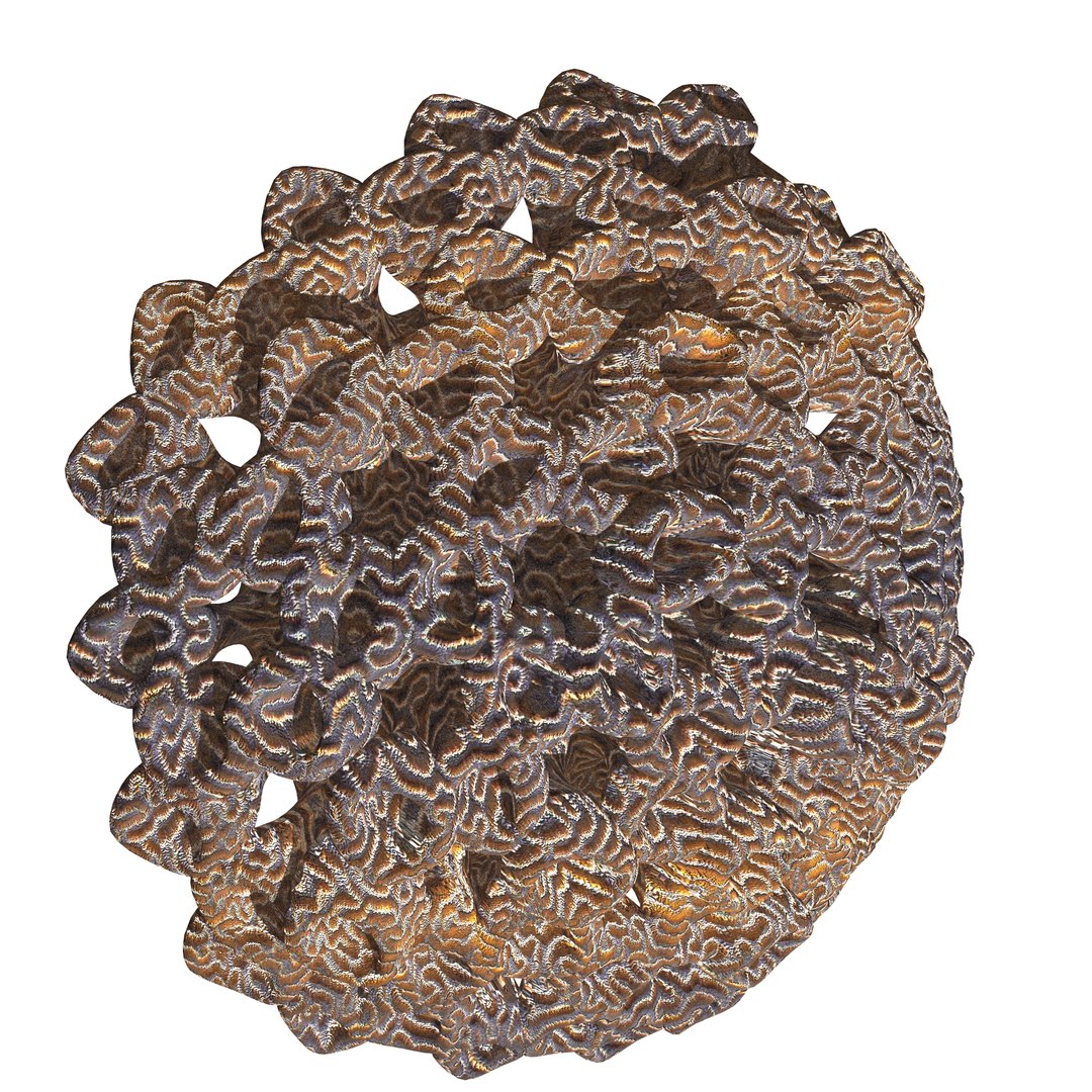 3D coral https://p.turbosquid.com/ts-thumb/W8/vBLUEJ/KTE2SLL0/20/png/1508066871/1920x1080/fit_q87/9e474a5d4cd9dc3de6f880751eabf23b2cea2761/20.jpg